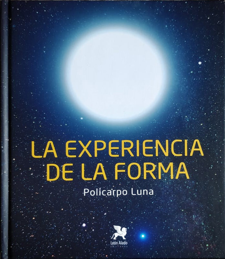 La experiencia de la forma